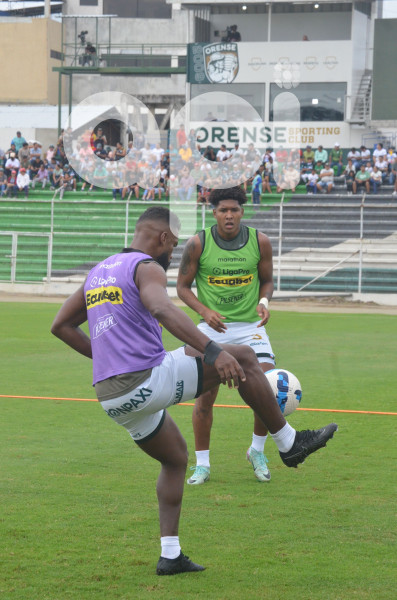 FBL-LIGAPRO-ORENSE-DELFIN
