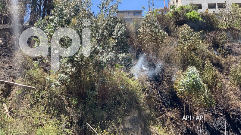 INCENDIO-GUAPULO