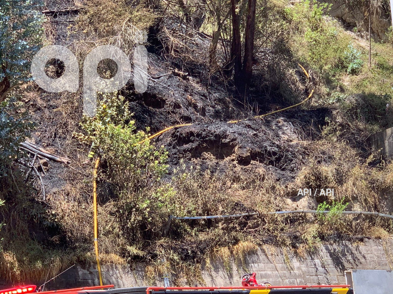 INCENDIO-GUAPULO