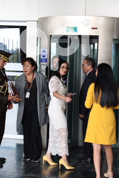 VIVIANA-VELOZ-RUEDA-PRENSA
