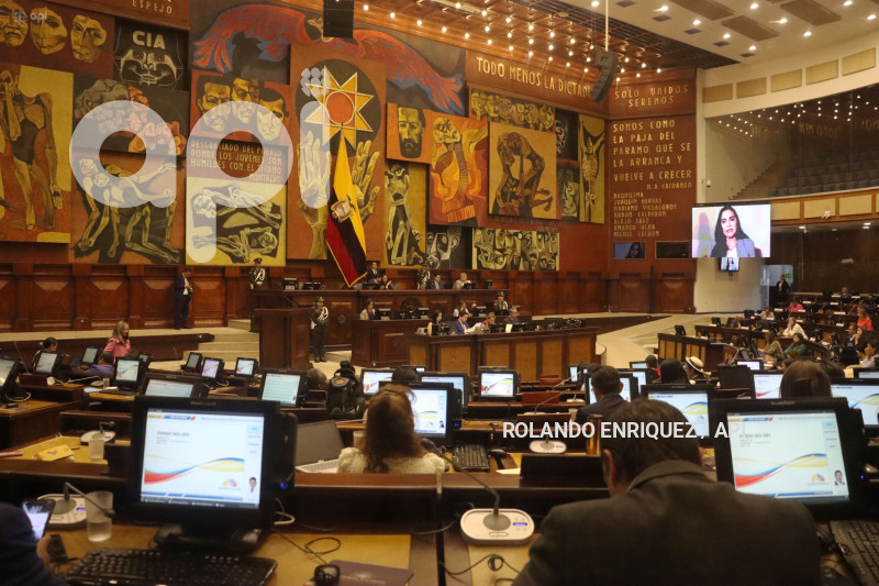 VERONICA-ABAD-ASAMBLEA