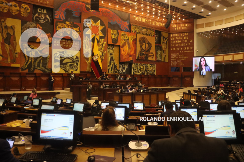 VERONICA-ABAD-ASAMBLEA
