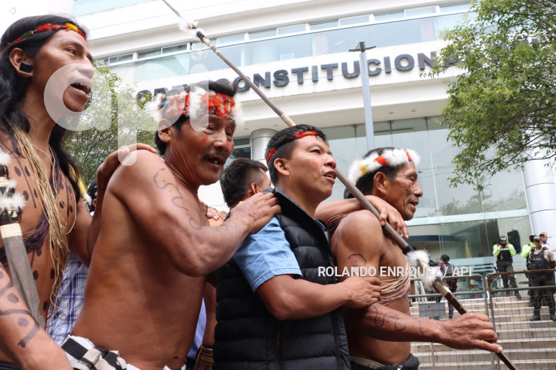 WAORANIS-CORTE-CONSTITUCIONAL