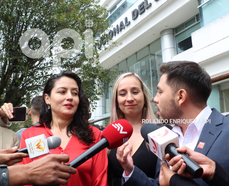 SOCIALISTAS-CORTE-CONSTITUCIONAL