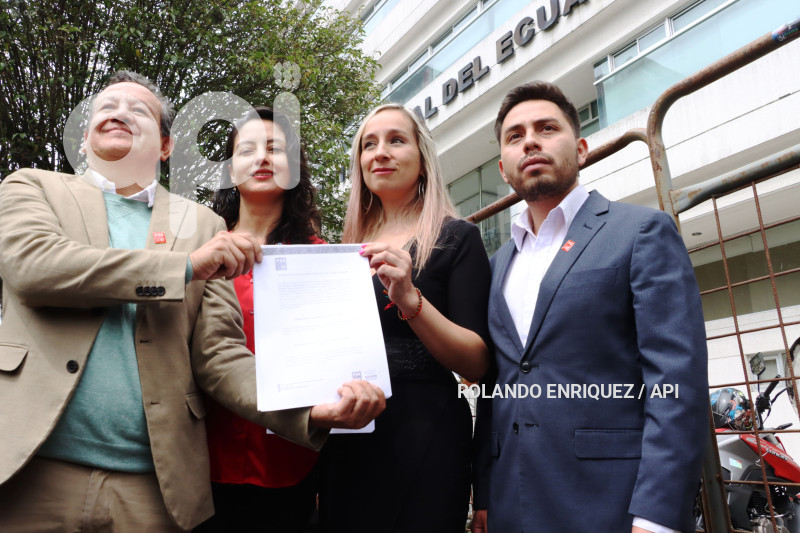 SOCIALISTAS-CORTE-CONSTITUCIONAL