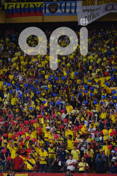 FBL-ELIMINATORIAS-ECUADOR-BOLIVIA