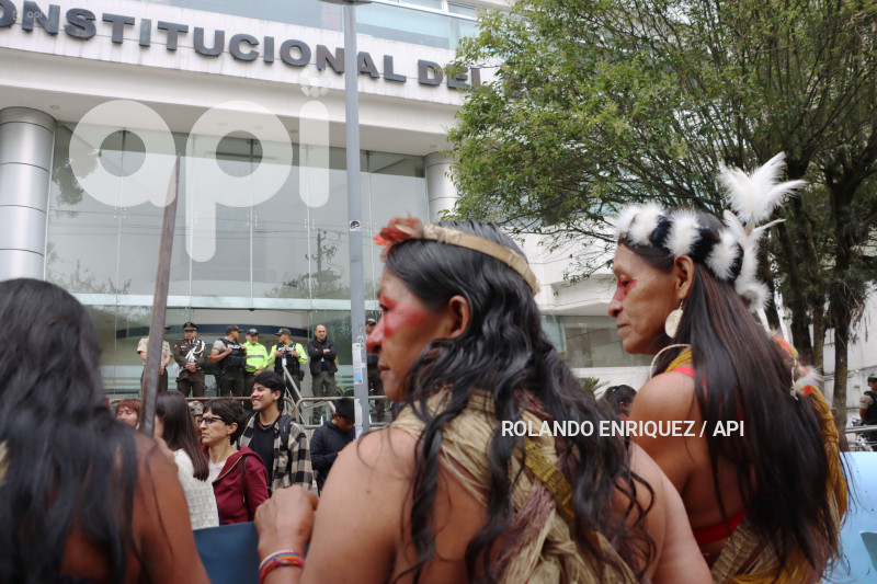 WAORANIS-CORTE-CONSTITUCIONAL