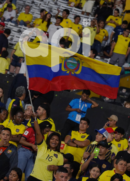 FBL-ELIMINATORIAS-ECUADOR-BOLIVIA