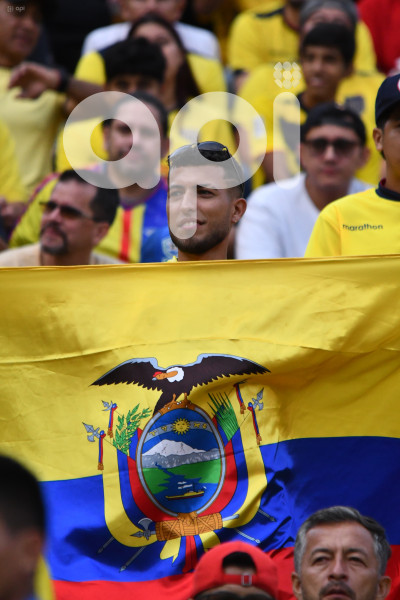 FBL-ELIMINATORIAS-ECUADOR-BOLIVIA