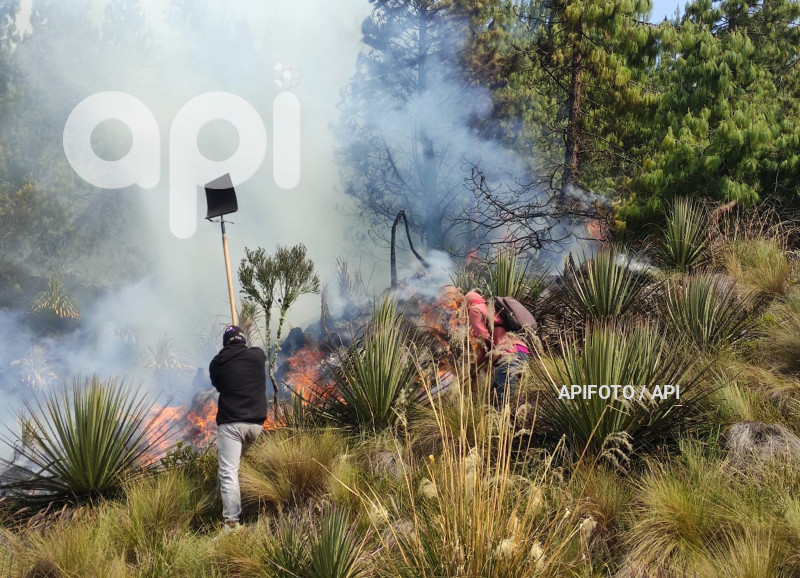 CUENCA-INCENDIO FORESTAL-CAJAS
