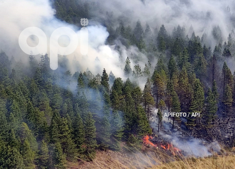 CUENCA-INCENDIO FORESTAL-CAJAS