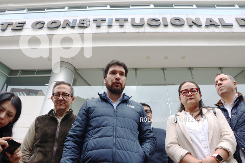 TOPIC-CORTE-CONSTITUCIONAL