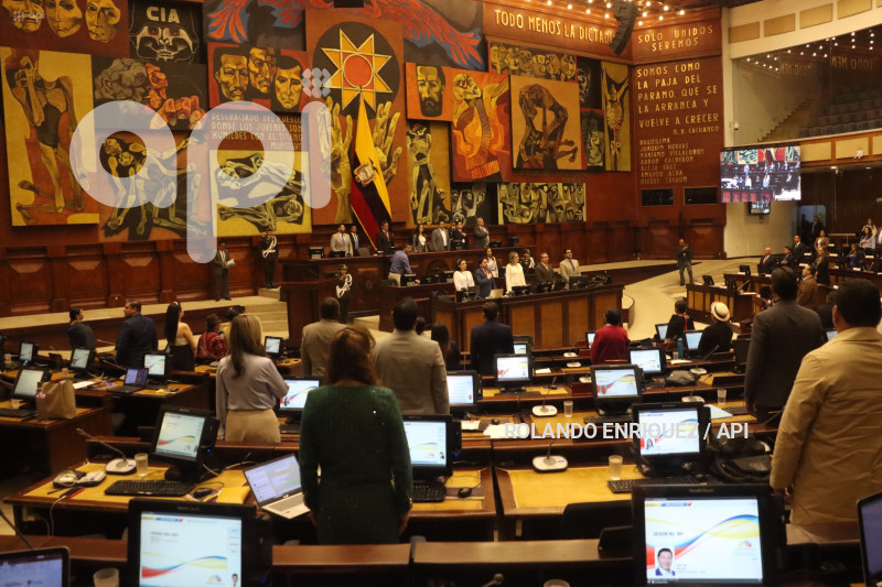 PLENO-MINISTRA-IVONNE-NUNEZ