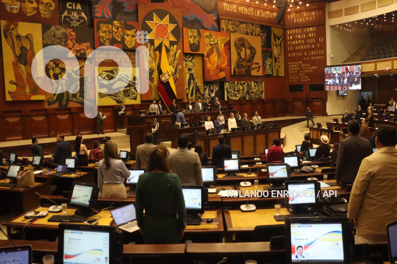 PLENO-MINISTRA-IVONNE-NUNEZ