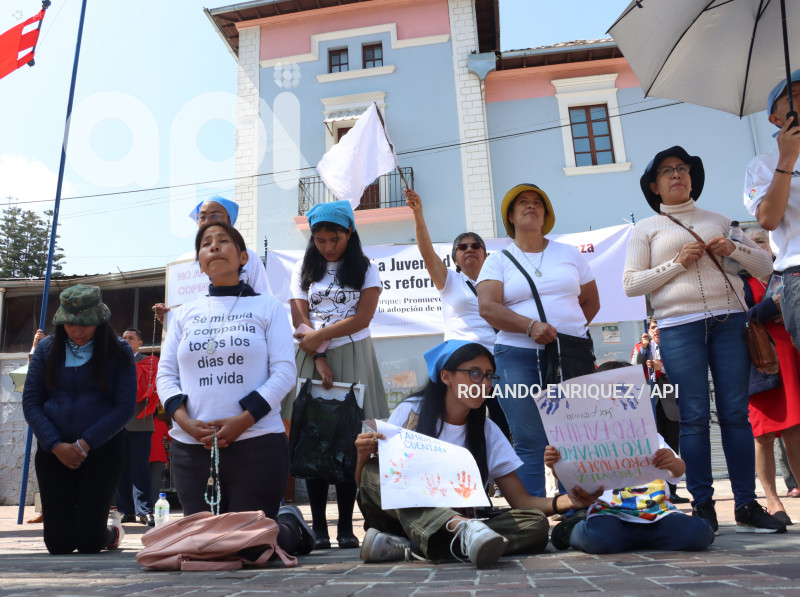 ASAMBLEA-PROTECCION-NINOS-NINAS-ADOLESCENTES