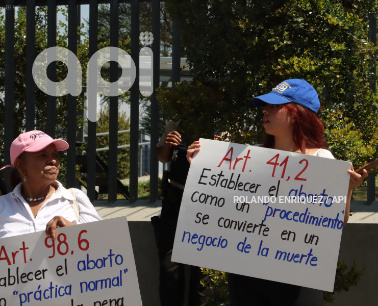 ASAMBLEA-PROTECCION-NINOS-NINAS-ADOLESCENTES