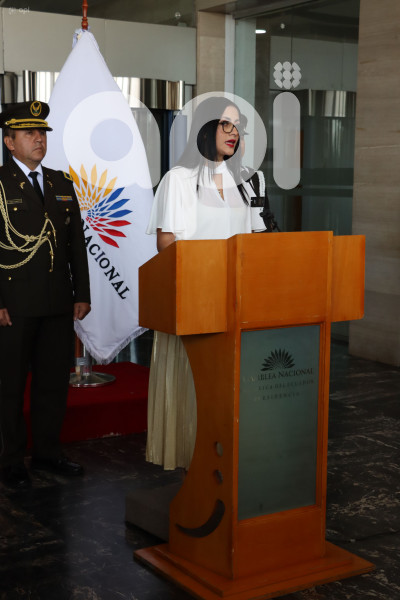 VIVIANA-VELOZ-INFORME