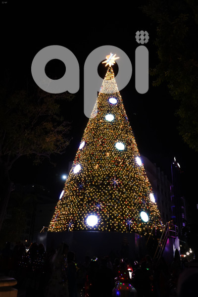 GYE-ENCENDIDO ARBOL