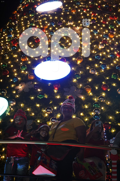 GYE-ENCENDIDO ARBOL