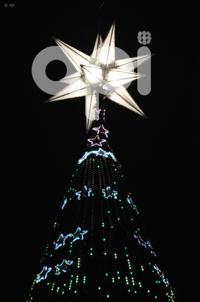 CUENCA -ENCENDIDO-ARBOL DE NAVIDAD