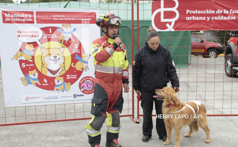 BOMBEROS-PREVENCION PIROTECNIA