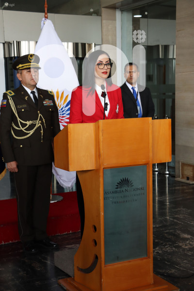 Informe VIVIANA VELOZ