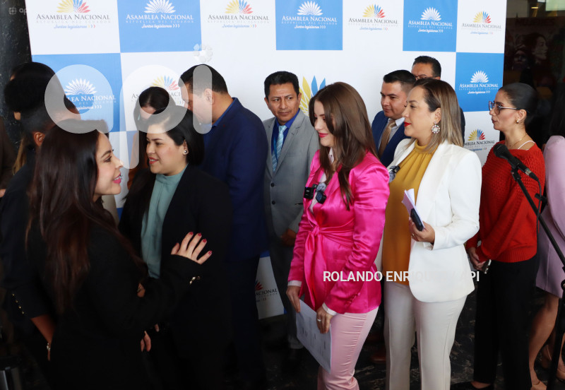 PALACIOS NOTICIA CRIMINIS CHATS VILLAVICENCIO