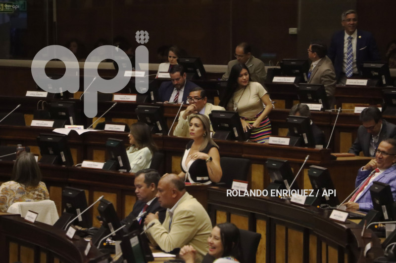ASAMBLEA PAGASUS
