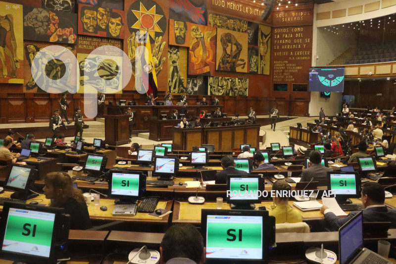ASAMBLEA PAGASUS