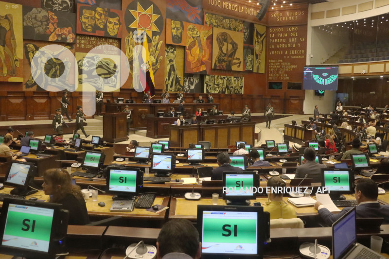 ASAMBLEA PAGASUS