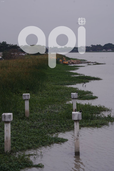 GYE-CONTAMINACION RIO DAULE