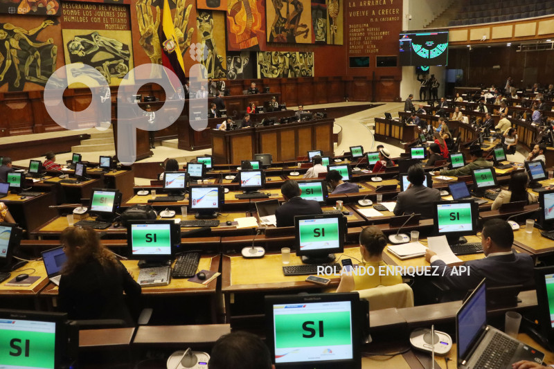 ASAMBLEA PAGASUS