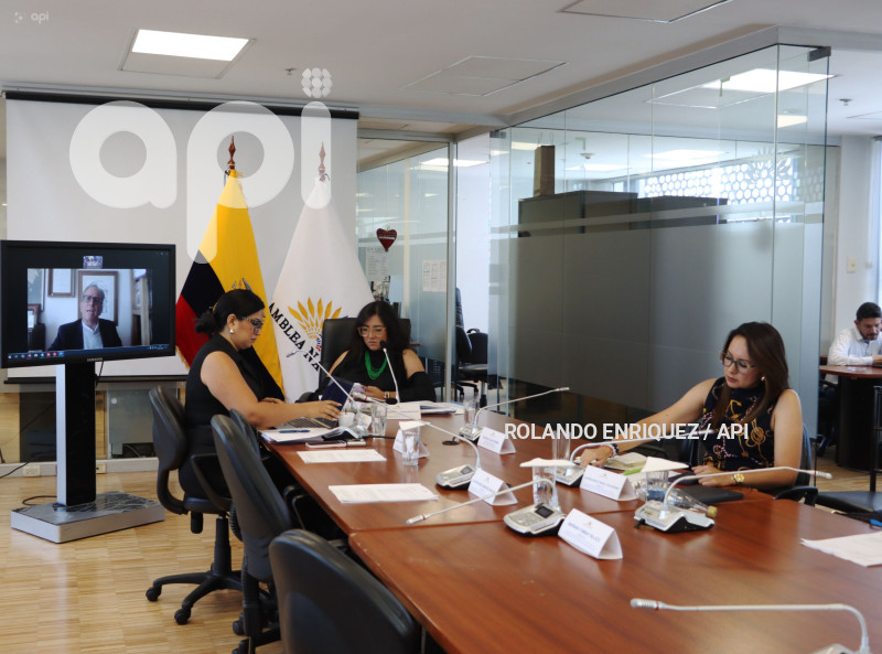 COMISION OCACIONAL BASES EXTRANJERAS