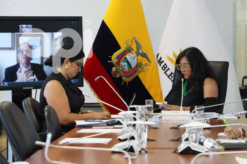 COMISION OCACIONAL BASES EXTRANJERAS