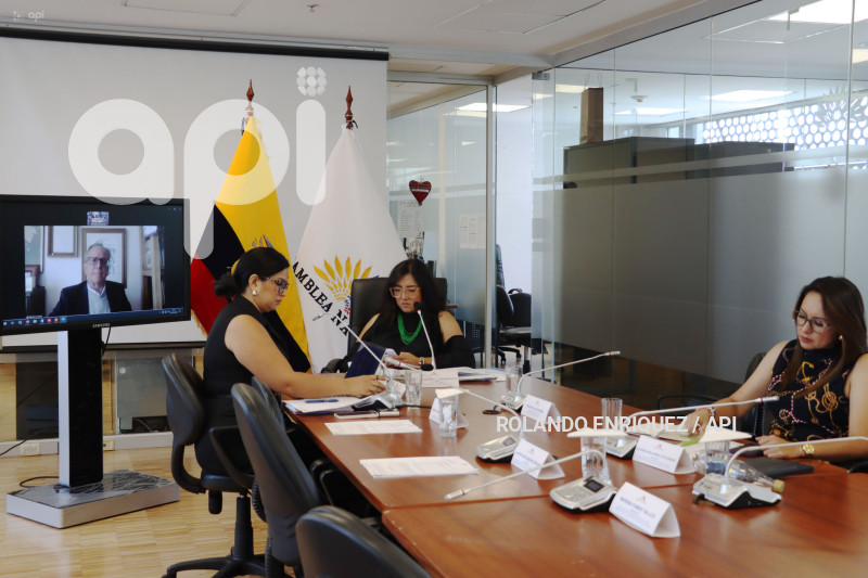 COMISION OCACIONAL BASES EXTRANJERAS