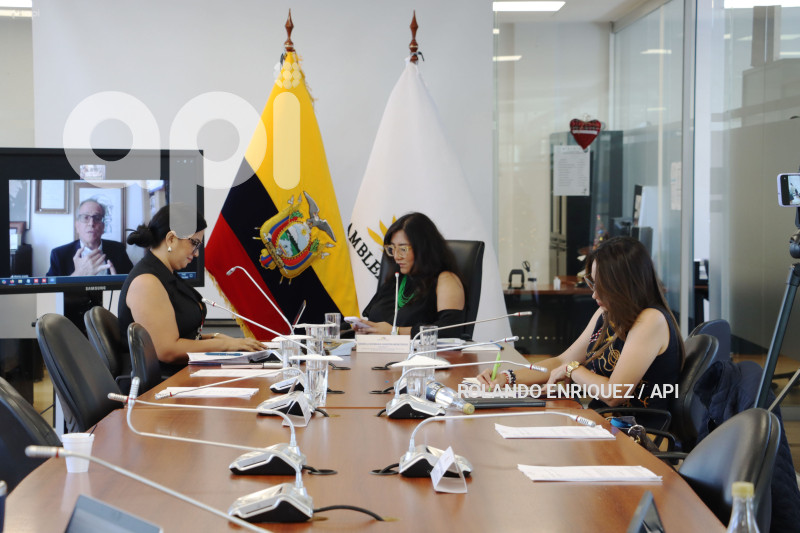 COMISION OCACIONAL BASES EXTRANJERAS