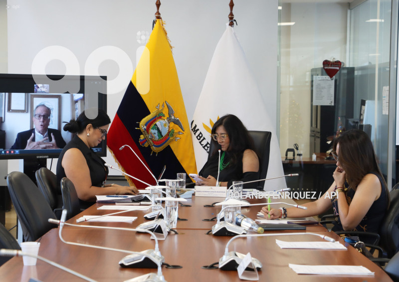 COMISION OCACIONAL BASES EXTRANJERAS