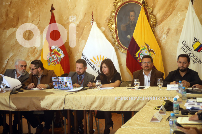 CUENCA-COMISION SEGURIDAD-ASAMBLEA NACIONAL