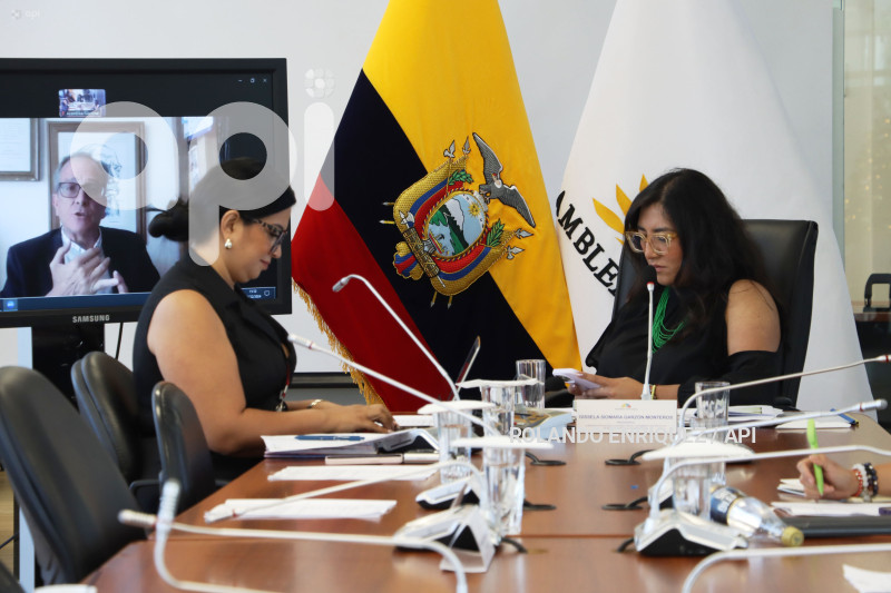 COMISION OCACIONAL BASES EXTRANJERAS