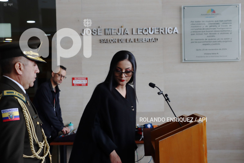 VIVIANA VELOZ INFORME SE