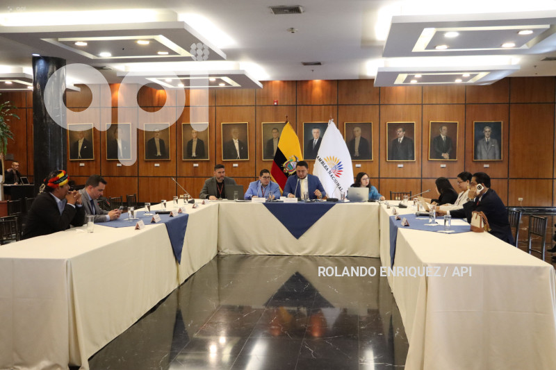 COMISION NINEZ ADOLESCENCIA