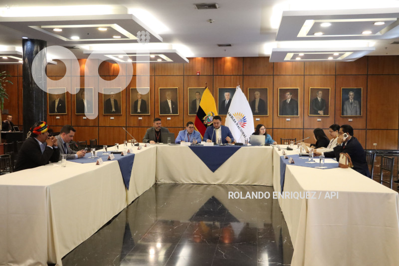 COMISION NINEZ ADOLESCENCIA