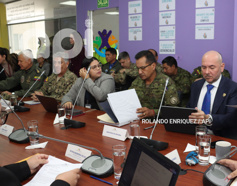 COMISION NINEZ MIN DEFENSA