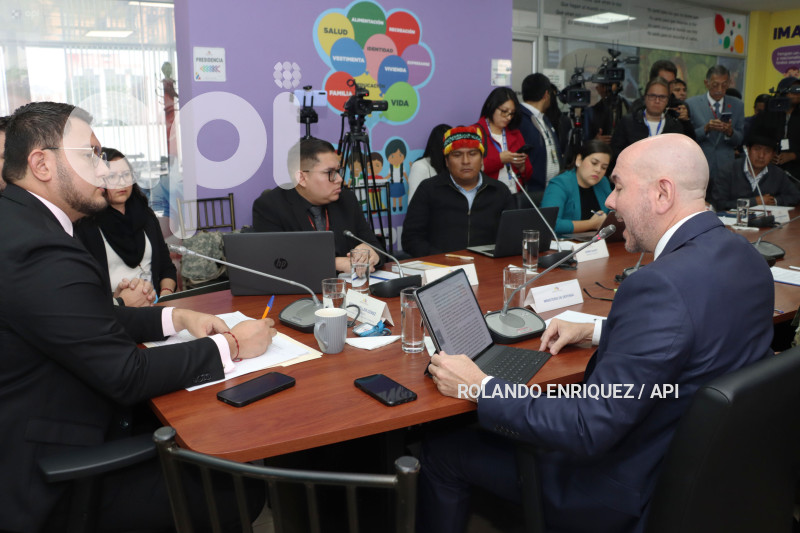 COMISION NINEZ MIN DEFENSA