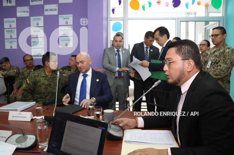 COMISION NINEZ MIN DEFENSA
