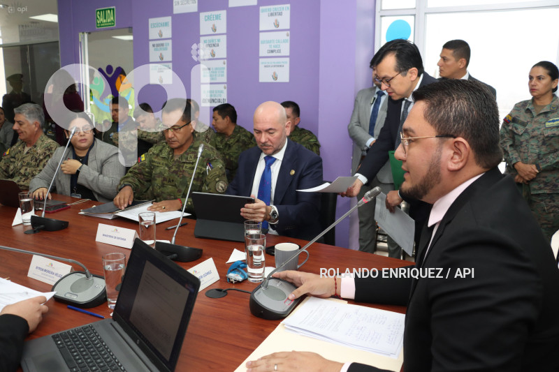 COMISION NINEZ MIN DEFENSA