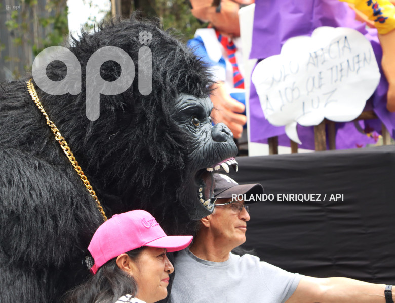 CONCURSO DE  ANOS VIEJOS AVE AMAZONAS