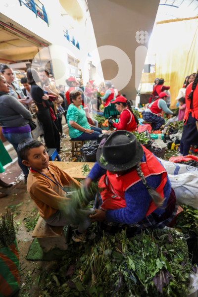 CUENCA LIMPIAS DE FIN DE ANO