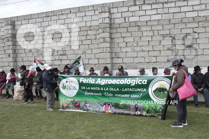 INICIO CAMPANA LEONIDAS IZA