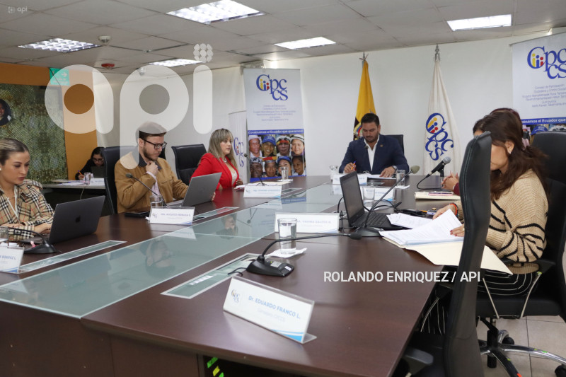 PLENO PARTICIPACION CIUDADANA